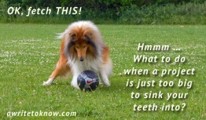 OK, fetch THIS!