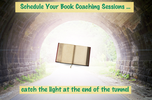 Schedule Your Book Coaching Sessions 500px